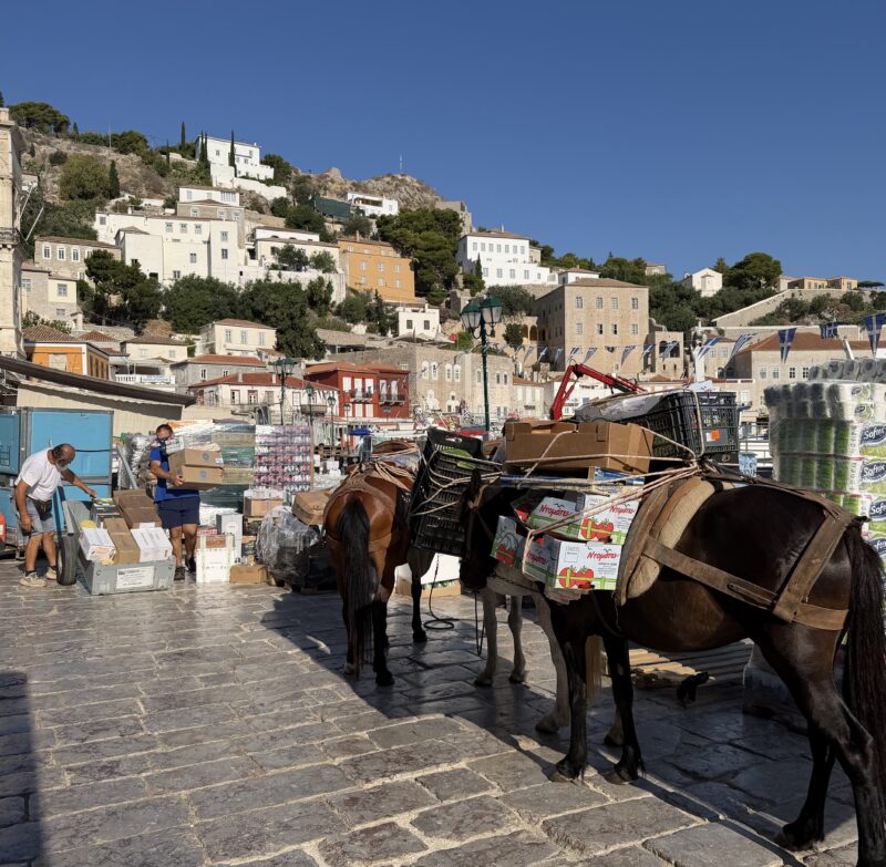 PlanetSKI in the summer, Hydra in Greece. Image © PlanetSKI